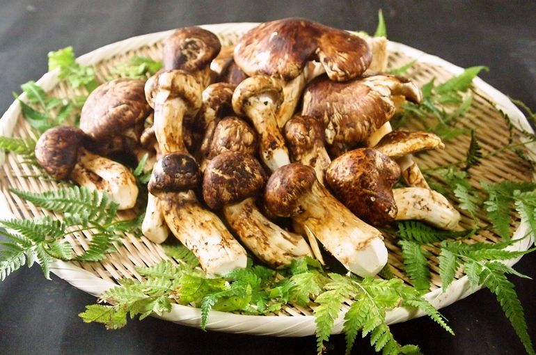 松茸料理専門店で東京で人気の松茸尽くしコースを堪能！