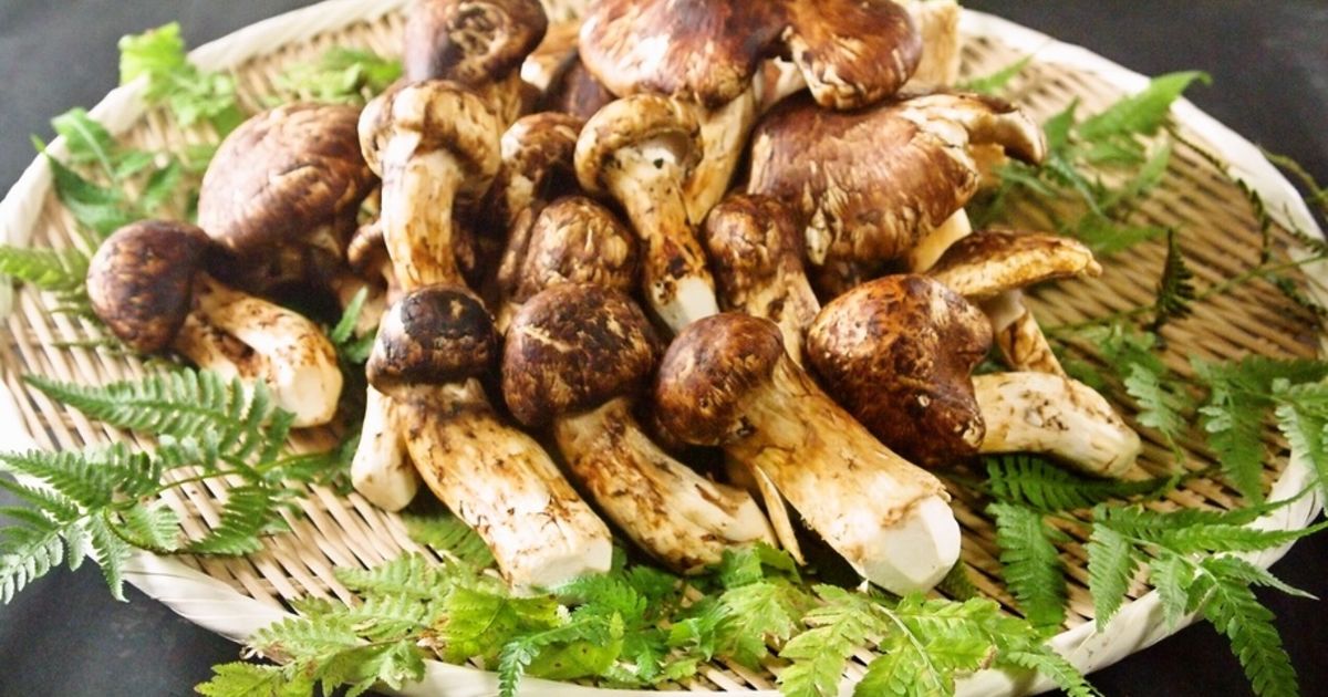 国産松茸が食べれる東京の松茸料理専門店いと家